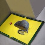 Reusable Expert mouse or rat glue trap, Heavy-Duty, Pre-Baited, Non-Toxic and 99 - Image 2