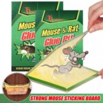 Reusable Expert mouse or rat glue trap, Heavy-Duty, Pre-Baited, Non-Toxic and 99