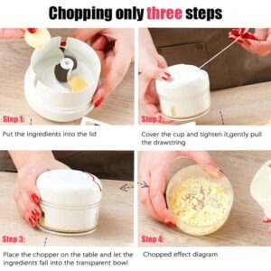 Hand Powered Food Chopper