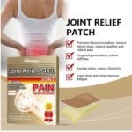 Japanese Pain Relief Patch 5 Pack, Herbal Joint & Muscle Relief - Image 7