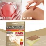 Japanese Pain Relief Patch 5 Pack, Herbal Joint & Muscle Relief - Image 2